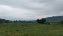 2 sot Torpaq, Satış, Qəbələ