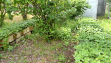 7 otaqlı Villa / Həyət evi, Satış, Abşeron
