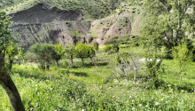 7 otaqlı Villa / Həyət evi