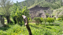 7 otaqlı Villa / Həyət evi, Satış, Yardımlı