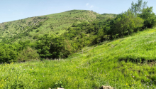 7 otaqlı Villa / Həyət evi, Satış, Yardımlı