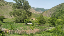 7 otaqlı Villa / Həyət evi, Satış, Yardımlı