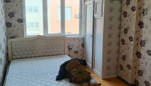 2 otaqlı Yeni tikili, Satış, Xırdalan