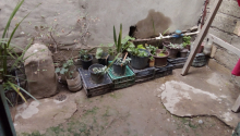 3 otaqlı Villa / Həyət evi, Satış, Bakı