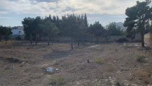 24 sot Torpaq, Satış, Bakı, Sabunçu, Q.Qarayev