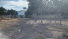 24 sot Torpaq, Satış, Bakı, Sabunçu, Q.Qarayev