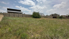 16 sot Torpaq, Satış, Bakı, Sabunçu, Koroğlu