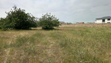 16 sot Torpaq, Satış, Bakı, Sabunçu, Koroğlu