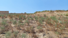 16 sot Torpaq, Satış, Abşeron