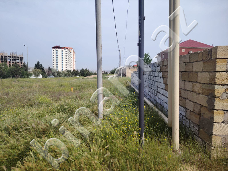 12 sot Torpaq, Satış, Abşeron