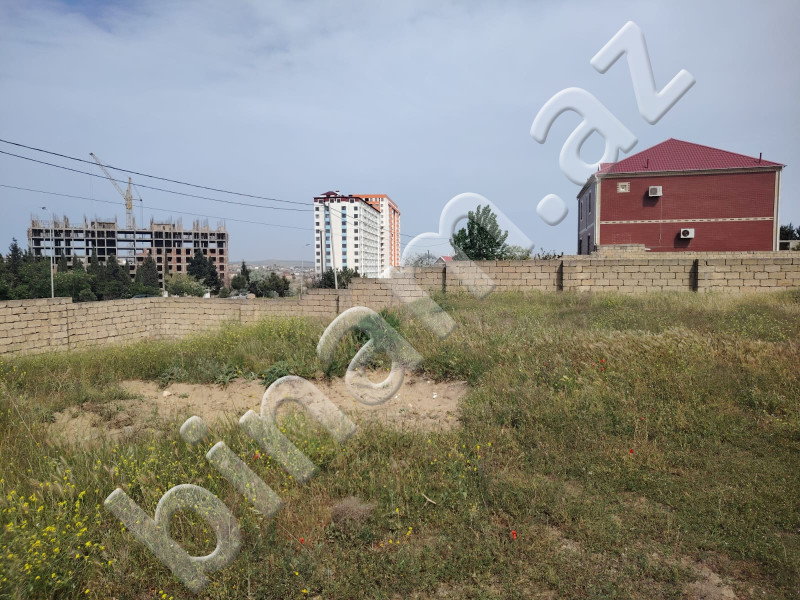 12 sot Torpaq, Satış, Abşeron