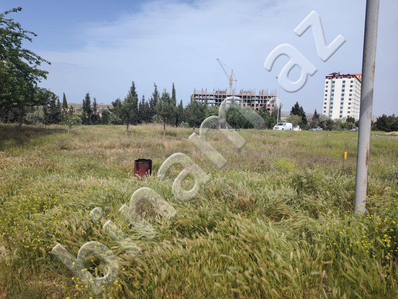 12 sot Torpaq, Satış, Abşeron