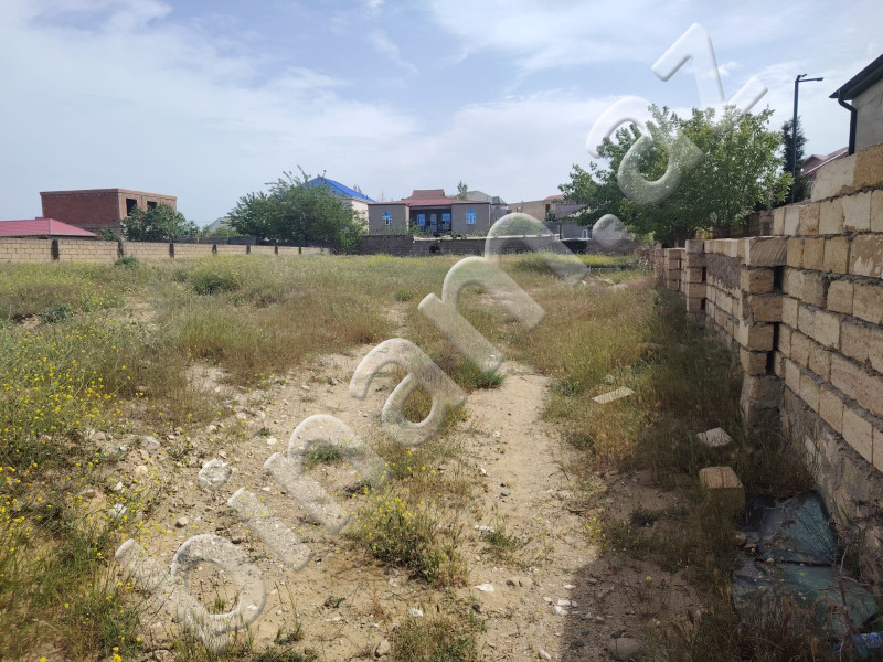 12 sot Torpaq, Satış, Abşeron