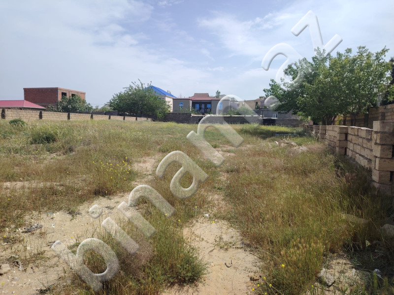 12 sot Torpaq, Satış, Abşeron