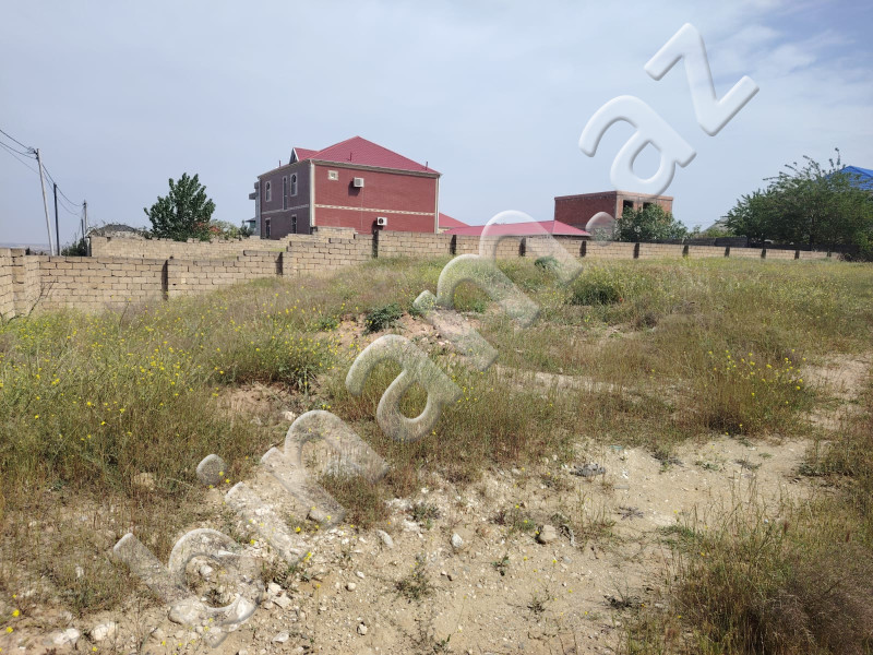 12 sot Torpaq, Satış, Abşeron