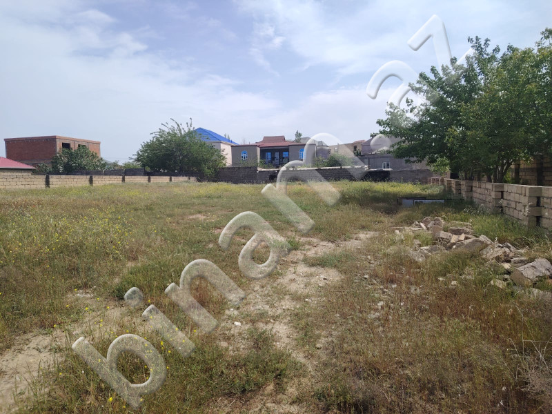 12 sot Torpaq, Satış, Abşeron