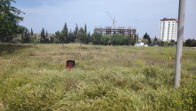 12 sot Torpaq, Satış, Abşeron