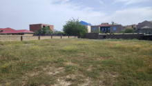 12 sot Torpaq, Satış, Abşeron