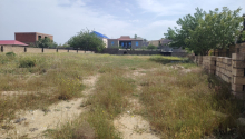 12 sot Torpaq, Satış, Abşeron