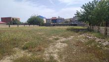12 sot Torpaq, Satış, Abşeron