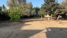 4 otaqlı Bağ evləri, Satış, Bakı, Xəzər