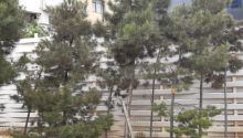 6 sot Torpaq, Satış, Bakı, Yasamal, Elmlər Akademiyası