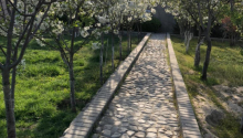6 otaqlı Villa / Həyət evi, Satış, Bakı, Səbail