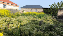 4 m2 Torpaq, Satış, Abşeron