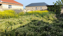 4 m2 Torpaq, Satış, Abşeron