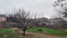 8 sot Torpaq, Satış, Bakı, Sabunçu
