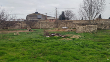 8 sot Torpaq, Satış, Bakı, Sabunçu