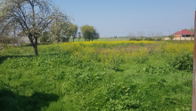 5 otaqlı Villa / Həyət evi, Satış, Masallı