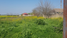 5 otaqlı Villa / Həyət evi, Satış, Masallı