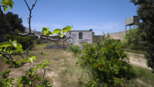 12 sot Torpaq, Satış, Bakı, Xəzər