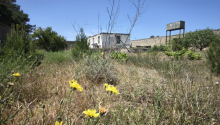12 sot Torpaq, Satış, Bakı, Xəzər