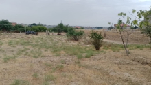 10 sot Torpaq, Satış, Abşeron
