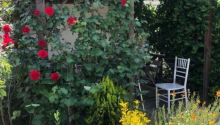 3 otaqlı Bağ evləri, Satış, Bakı, Xəzər, Koroğlu