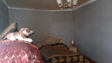 4 otaqlı Bağ evləri, Satış, Abşeron