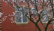 4 otaqlı Villa / Həyət evi, Satış, Bakı, Sabunçu