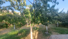 8 otaqlı Bağ evləri, Satış, Abşeron