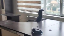 4 otaqlı Ofis, Kirayə (aylıq), Bakı, Xətai, Xətai