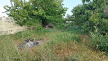 6 otaqlı Bağ evləri, Satış, Bakı, Sabunçu