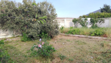 6 otaqlı Bağ evləri, Satış, Bakı, Sabunçu