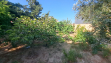 4 otaqlı Bağ evləri, Satış, Abşeron