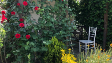 3 otaqlı Bağ evləri, Satış, Bakı, Xəzər, Koroğlu