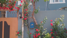 4 otaqlı Villa / Həyət evi