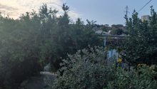 5 m2 Torpaq, Satış, Bakı, Suraxanı