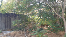 30 sot Torpaq, Satış, Bakı, Nərimanov, Nəriman Nərimanov