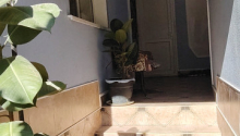 4 otaqlı Villa / Həyət evi, Satış, Bakı, Sabunçu, Koroğlu