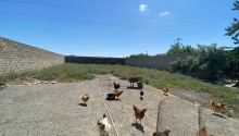 8 otaqlı Villa / Həyət evi, Satış, Bakı, Sabunçu, Koroğlu